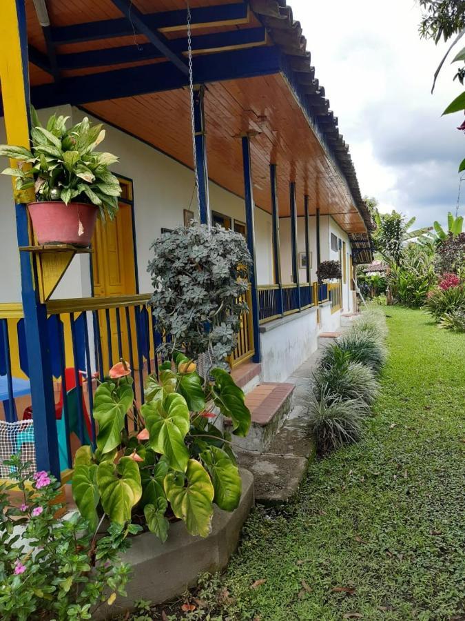 Casa Finca Villa Luz A 800 Mts Del Parque Del Cafe Montenegro Buitenkant foto